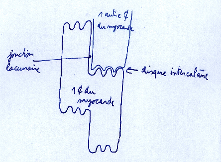 \includegraphics[clip=true,width=0.8\textwidth]{/tmp/export_images/imAPMlundi_3.eps}