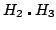 $ H_2 \centerdot H_3$